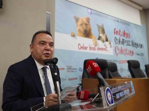 Başkan Böcek: “Sokak Hayvanlarına Desteğimiz Sürecek”