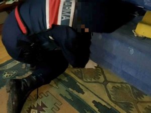 ’Kaput’ Kanepeye Gizlenmiş Uyuşturucu Tespit Etti
