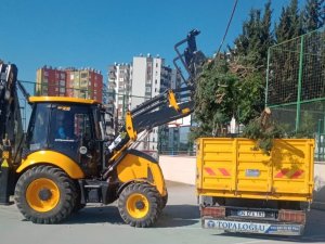 Toroslar’da Park Ve Yeşil Alanlara Bahar Bakımı
