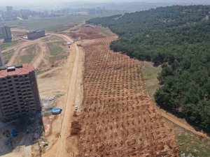 Şehitkamil’de 26. Orman İçin Hazırlıklar Tamamlandı