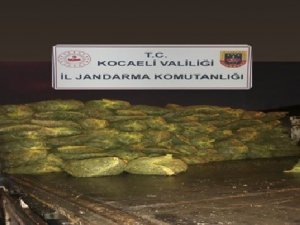 Kocaeli’de 10 Ton Kaçak Midye Ele Geçirildi