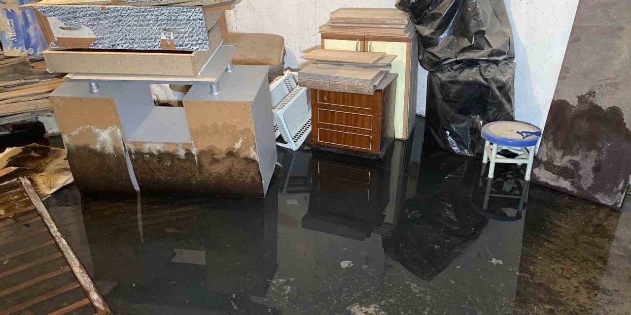 Küçükçekmece’de Bir Binanın Bodrum Katında Biriken Sudan Üreyen Sivrisinekler Tüm Binayı Sardı