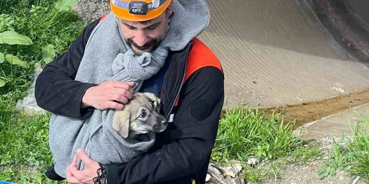 Afad, 25 Metrelik Borunun İçinde Sıkışan Yavru Köpeği Kurtardı