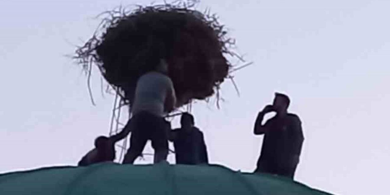 Depremzede Leylek Ailesi Güvenli Kubbeye Taşındı