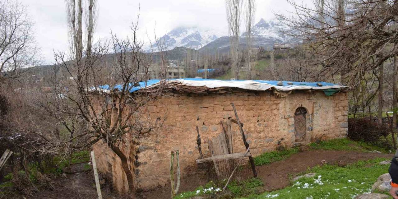 200 Yıllık Evden Bir Mahalle Çıktı