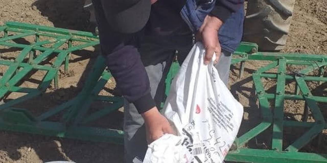 İscehisar’da Yağ Üretiminde Kullanılan Aspir Koç42 Bitkisi Ekildi
