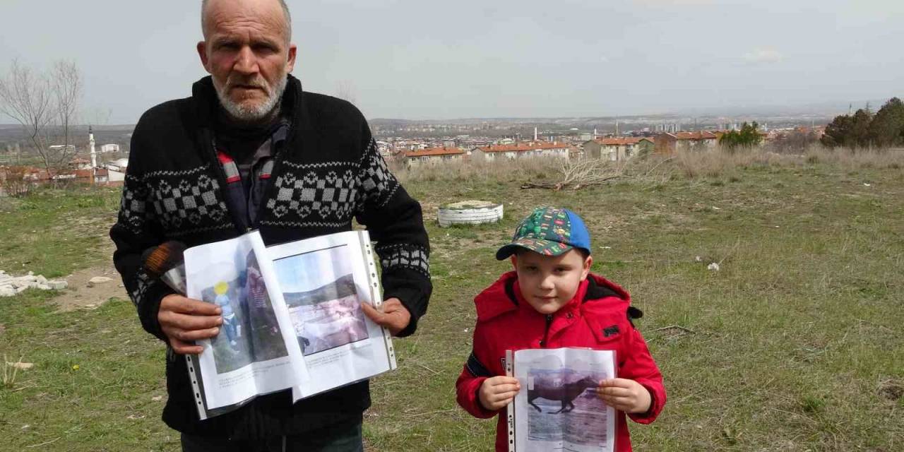 Kütahyalı Vatandaş, Çalınan İki Atının Bulunmasını İstiyor