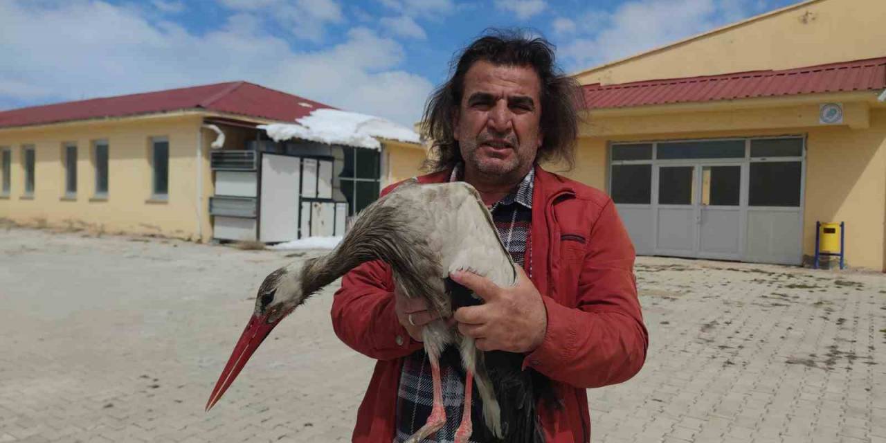 Van’da Yaralı Leylek Tedavi Altına Alındı