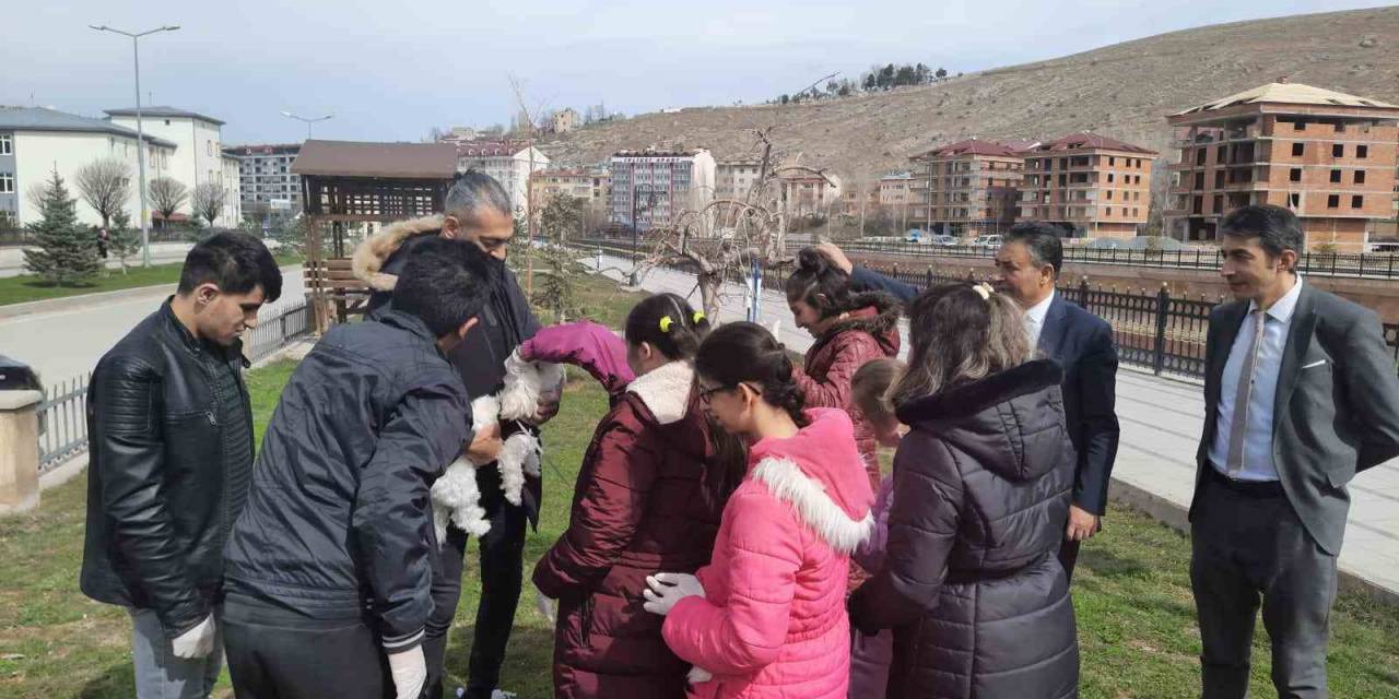 Öğrenciler Sokak Hayvanlarını Unutmadı