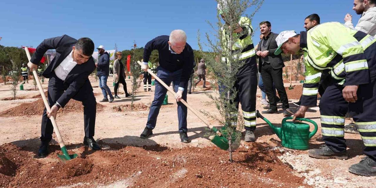 26. Orman, Deprem Şehitlerinin Anısına Oluşturuldu