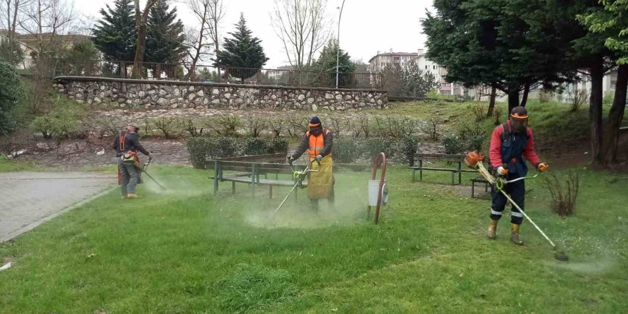 Düzce’yi Güzelleştirmek İçin Sahadalar