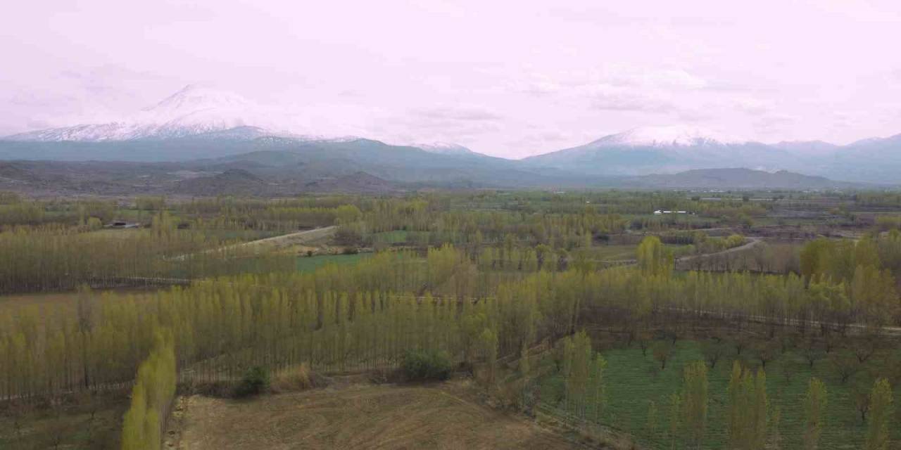 Iğdır’da Kış Ve Bahar Ayı Bir Arada