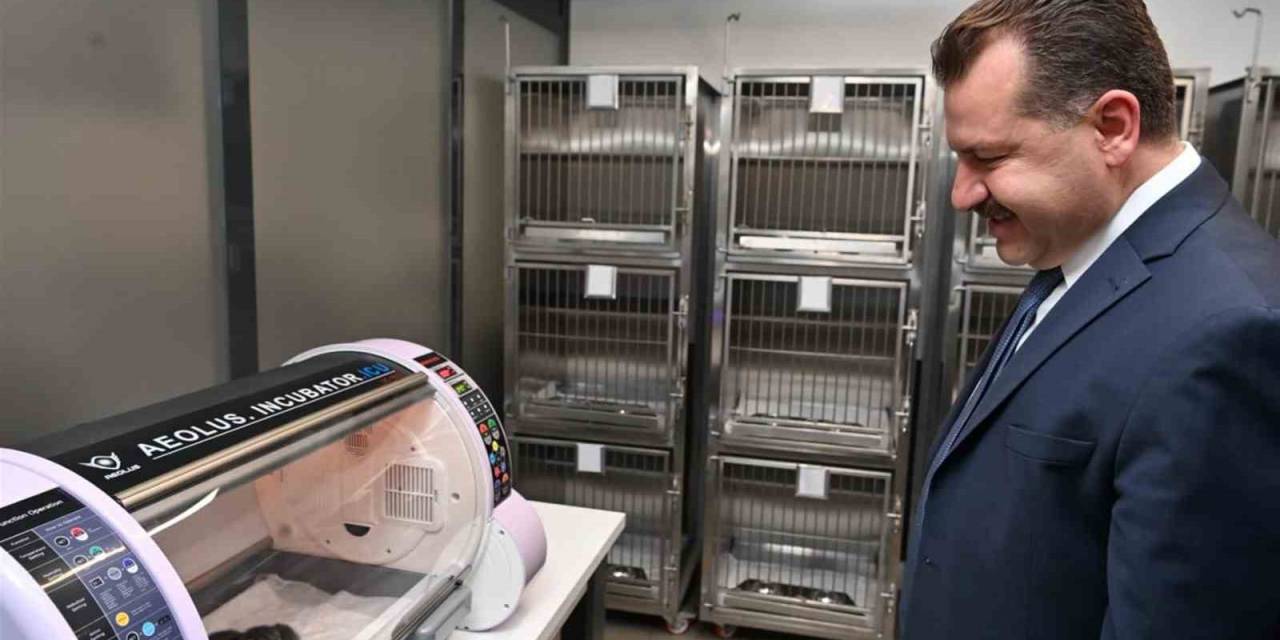 Balıkesir Büyükşehir Sokak Hayvanlarının Yanında