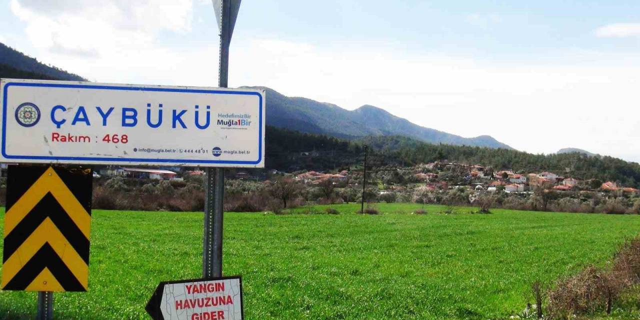 Çaybükü İsmi Ormancı Türküsündeki Gibi ‘gevenes’ Oldu