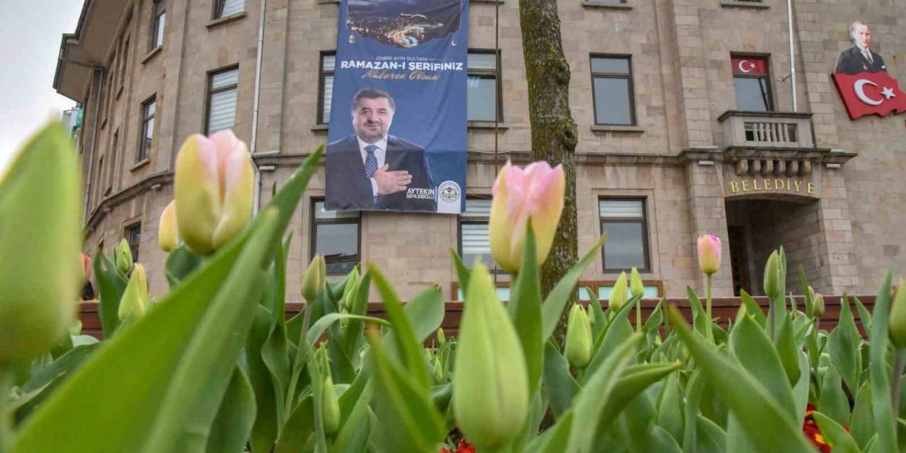 Giresun Çiçeklerle Renklendi