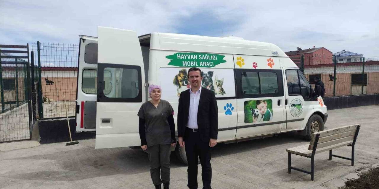 Kars’ta Sokak Hayvanlarının Tedavileri Yapılıyor