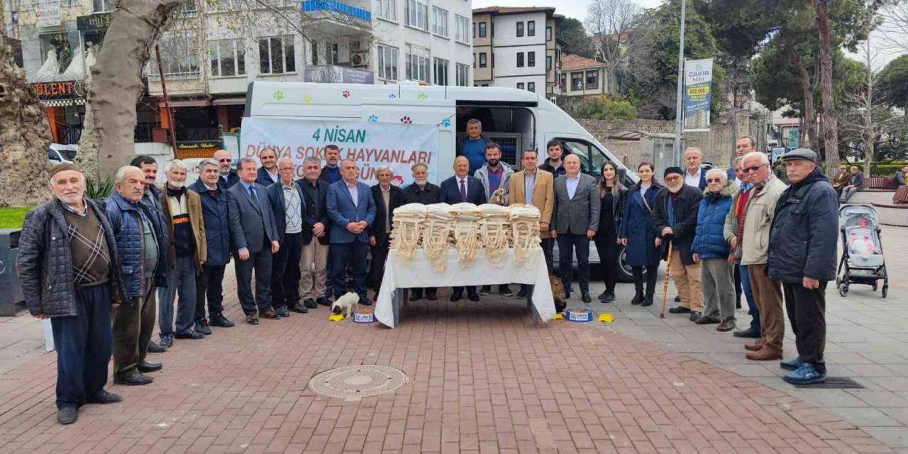 Sokak Hayvanları Unutulmadı