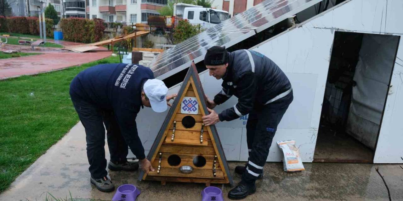 Altıeylül’de Sokak Hayvanları Unutulmadı
