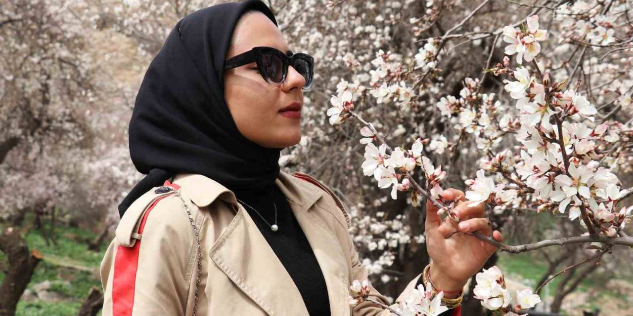 Erzincan’da Meyve Ağaçları Çiçek Açmaya Başladı