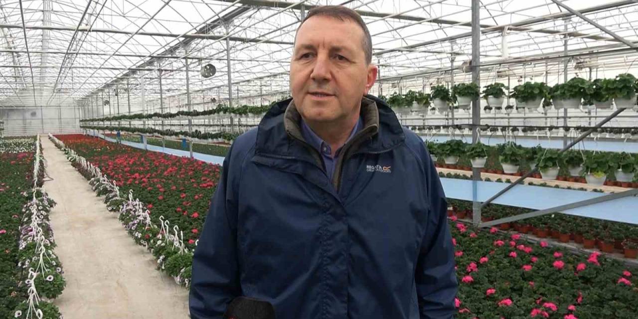 Süs Bitkisi İhracatı Memnun Etti