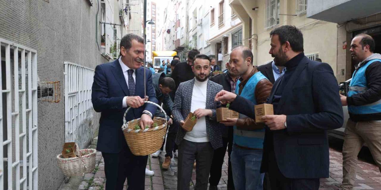 Zeytinburnu’na Bahar Fesleğenle Geldi