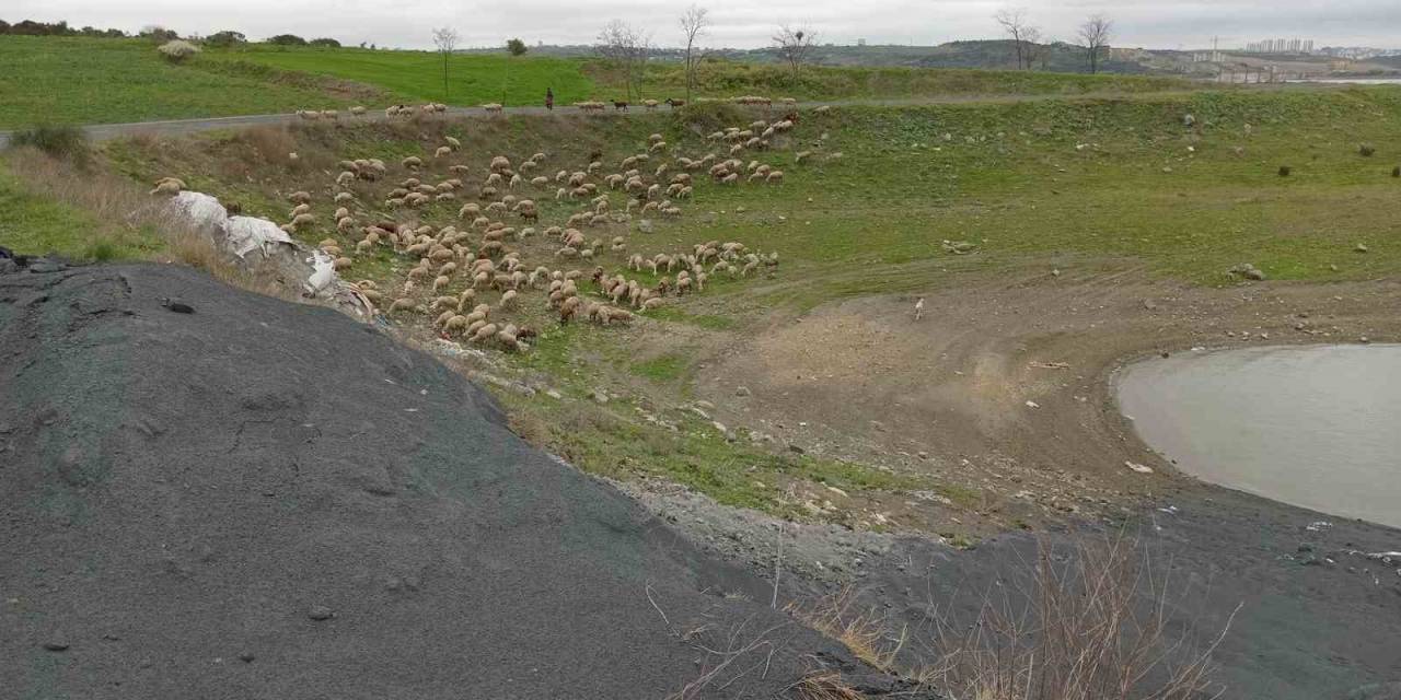 Arnavutköy’de Göl Kenarına Dökülen Madde Paniğe Neden Oldu