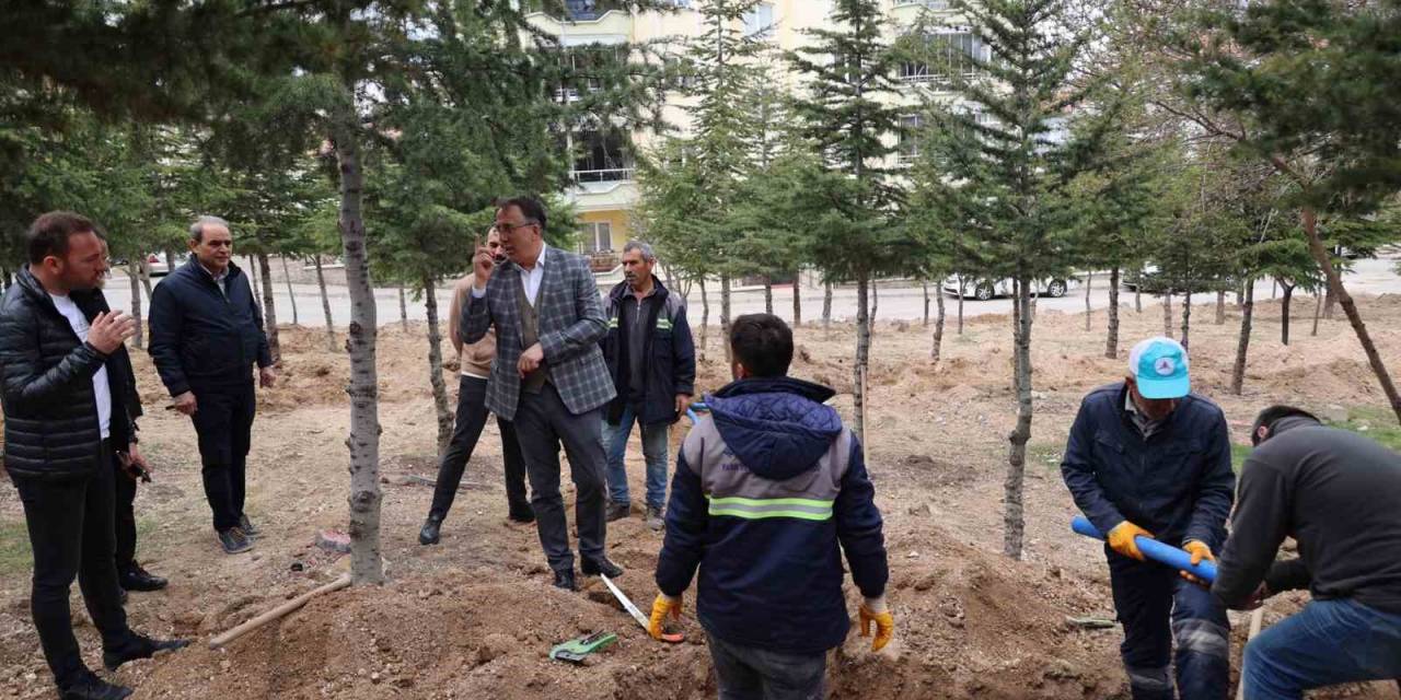 Başkan Savran Çalışma Alanlarında İncelemelerde Bulundu
