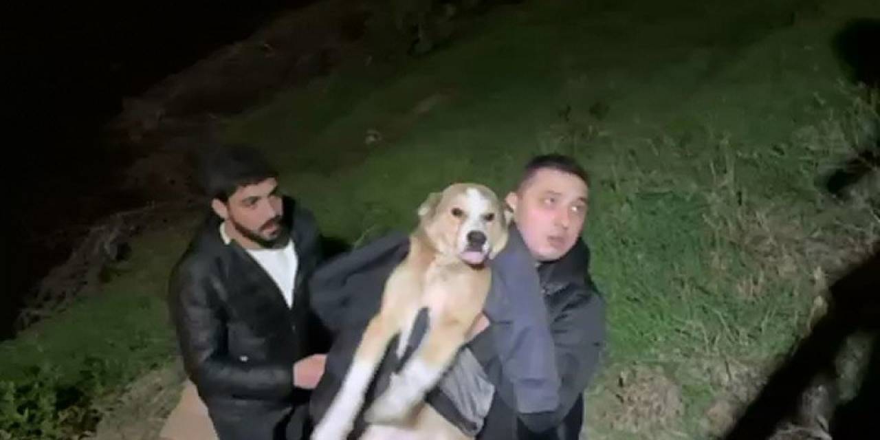 İftara Giderken Sokak Köpeğinin Hayatını Kurtardı