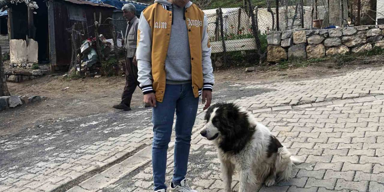 Vefalı Köpek Askerden Dönen Sahibine Sarıldı