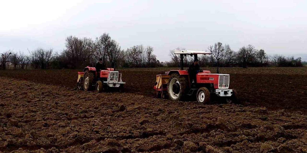 Erzincan’da Etkili Olan Yağışlar Çiftçiye Umut Oldu