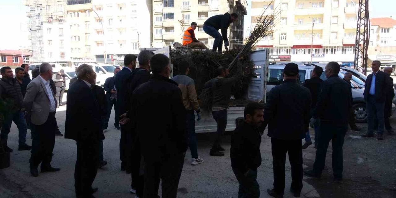 Yüksekova’da Yüzde 50 İndirimli Fidan Dağıtımına Yoğun İlgi