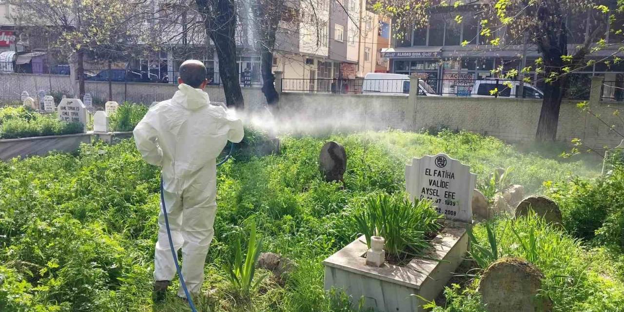 Siirt’te Mezarlıklarda Yabani Otlara Karşı İlaçlama Çalışması Başlatıldı