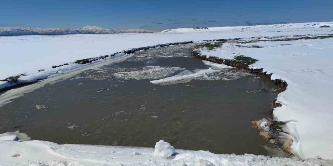 Öğretim Üyesi Akkuş: "bugünlerde Yağan Karın Kuraklığı Bir Nebze Olsun Hafifletmesini Ümit Ediyoruz"