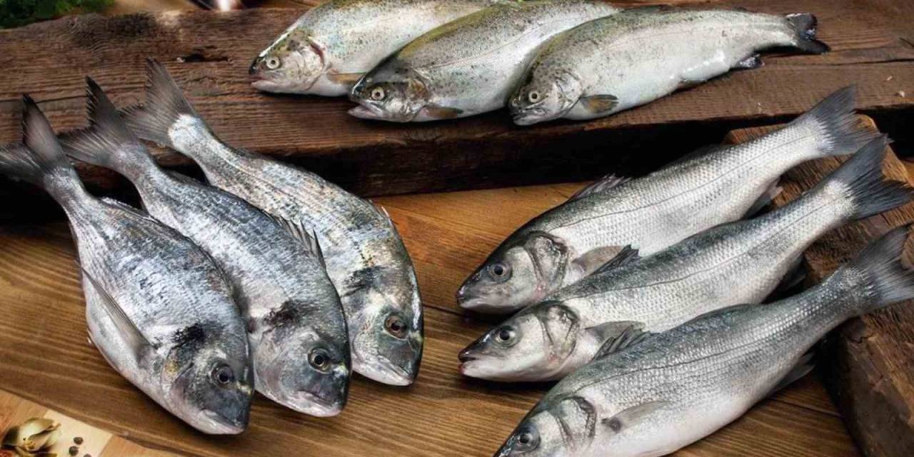 Muğla İhracatını Su Ürünleri Sırtlıyor