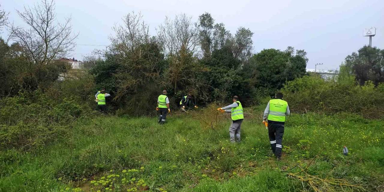 Darıca, Daha Yeşil Bir Yaza Hazırlanıyor