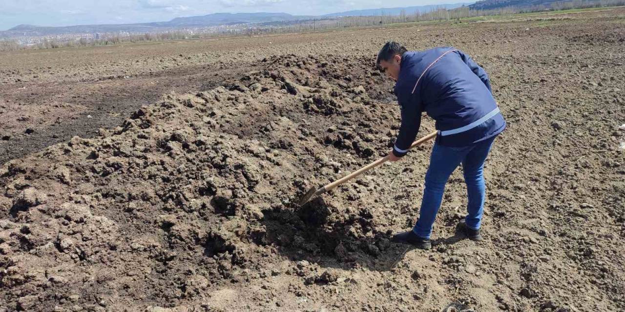 Çorum’da Vektörle Mücadelede Üreme Alanları Tespit Ediliyor