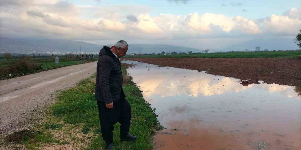 Osmaniye’de, Nisan Yağmurları Çiftçiye Can Suyu Oldu