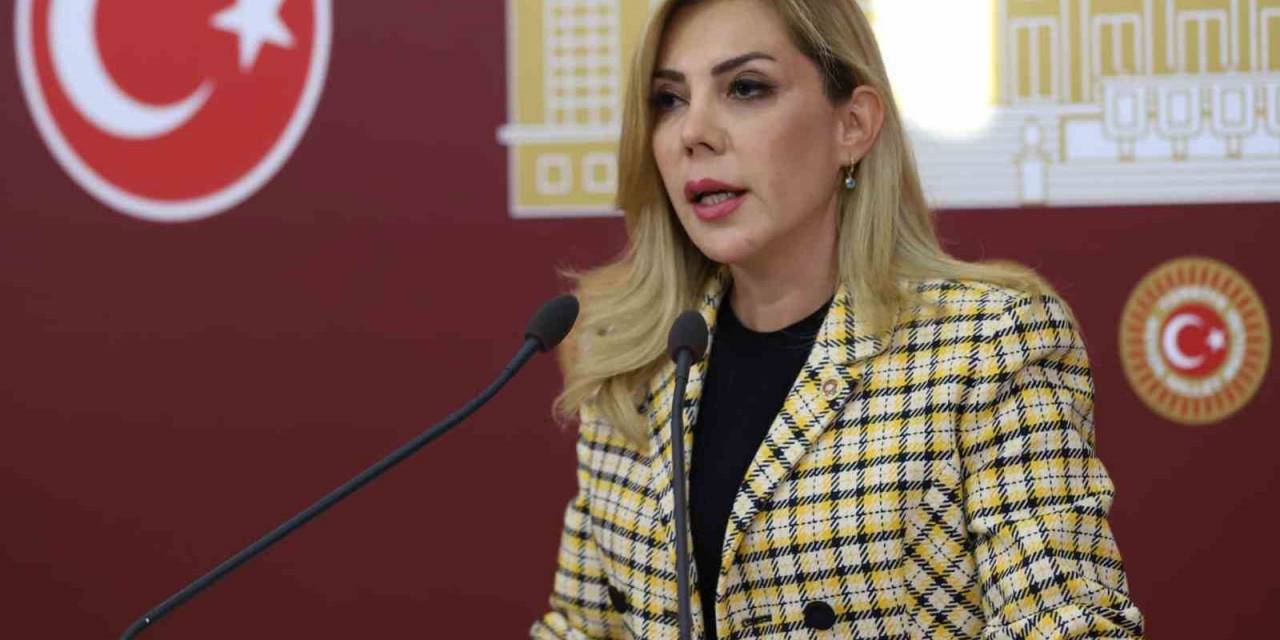 Milletvekili Gökcan:  “söz Değil, Eser Ürettik”