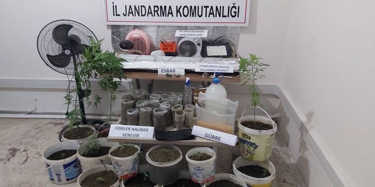 Saruhanlı’da Saksıda Uyuşturucu Yetiştiren Kişi Yakalandı