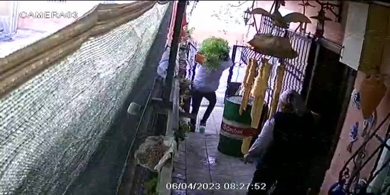 Ev Sahibinin Gözü Önünde Girdiği Bahçeden Saksıyı Sırtlayıp Götürdü