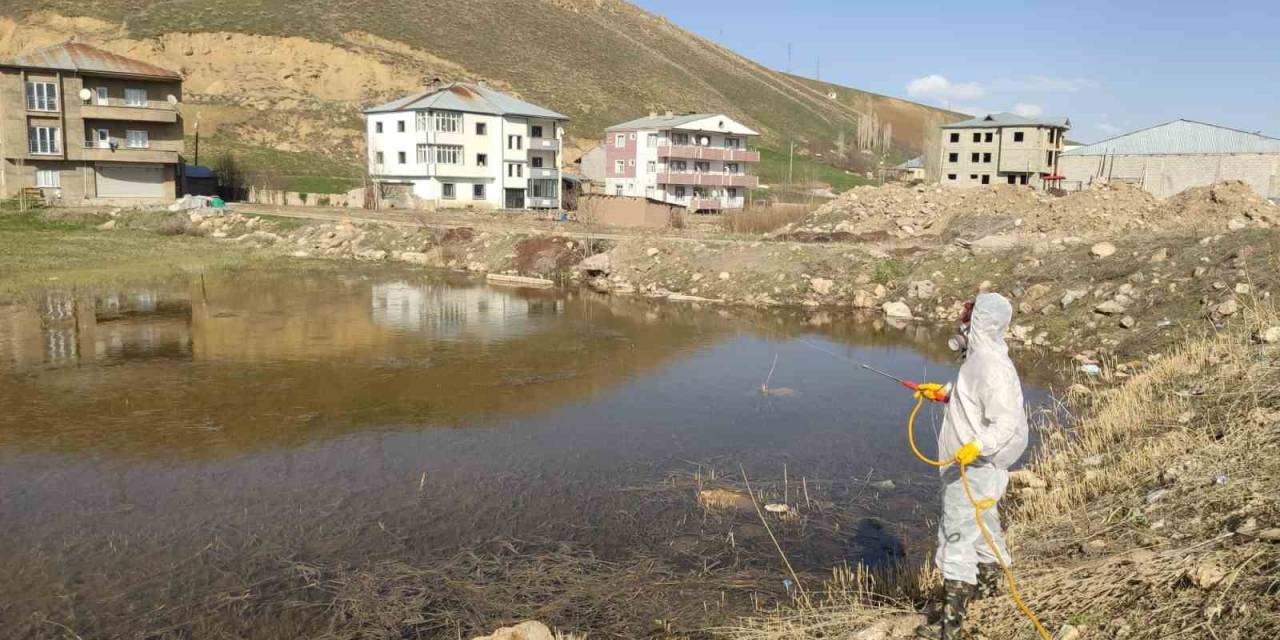 Yüksekova’da Sinek Ve Haşerelere Karşı İlaçlama Çalışması