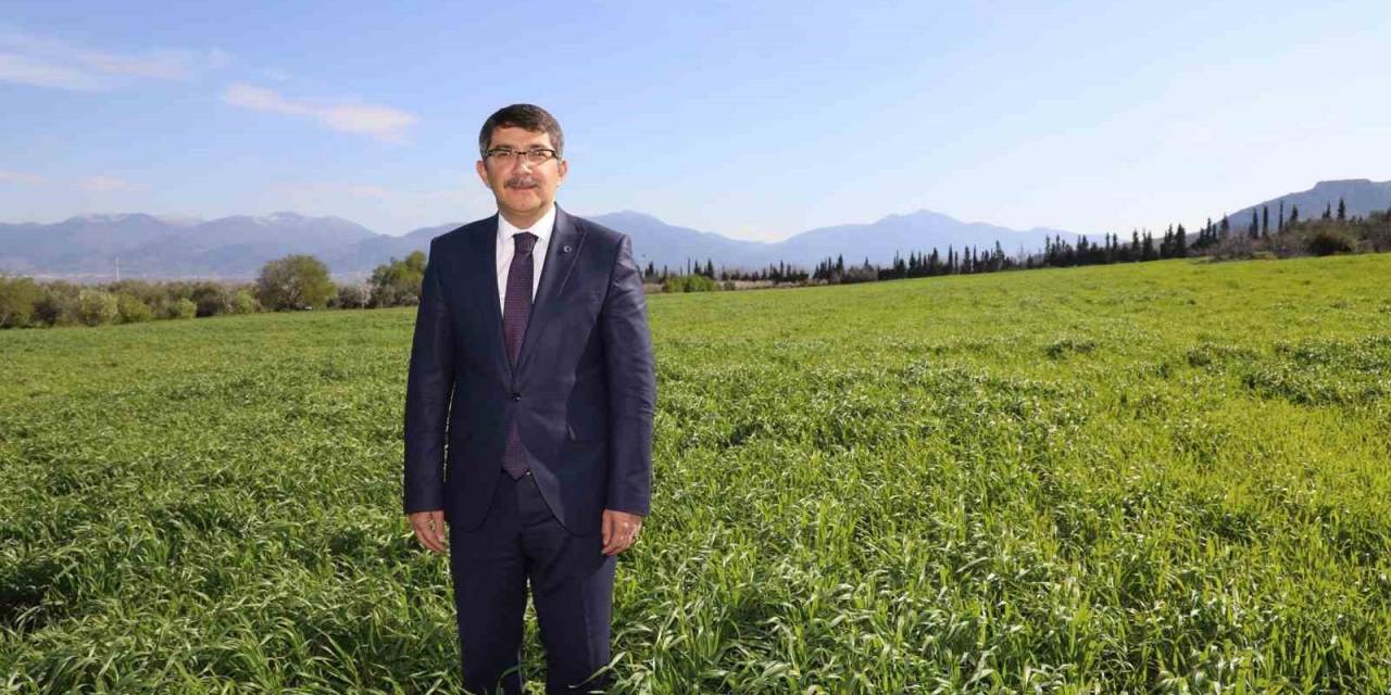 Belediyenin Buğdayları İhtiyaç Sahiplerine Un Olacak