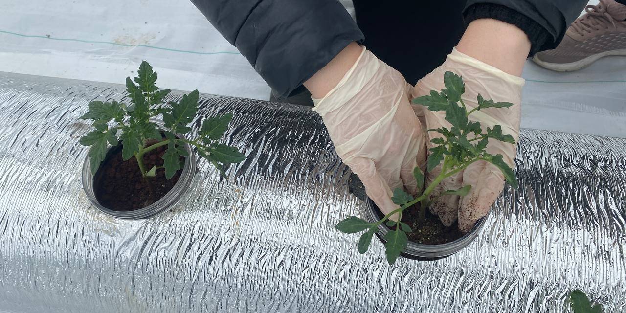 Bu Proje Tarımda Örnek Olacak