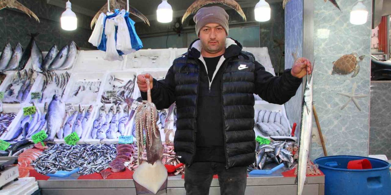 Vatandaşlar Balığa Yöneldi