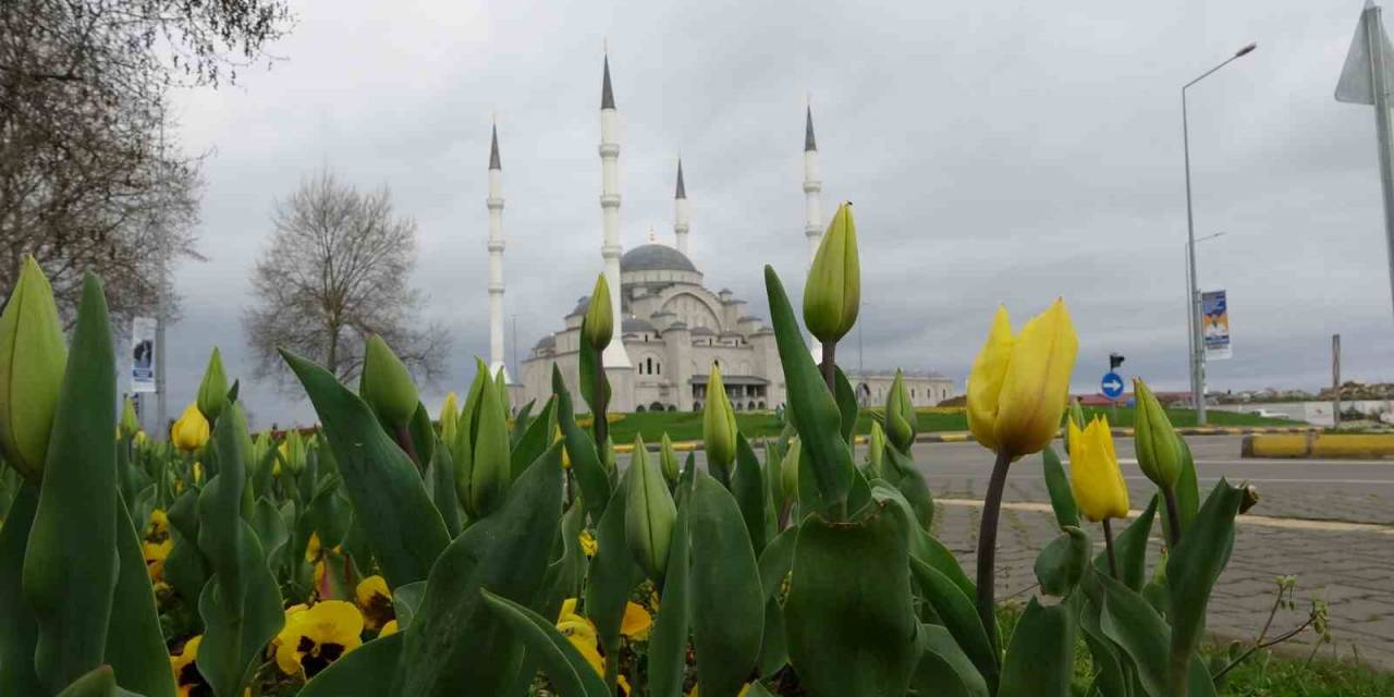 Tamamlandığında Doğu Karadeniz’in En Büyük Cami Ve Külliyesi Olacak