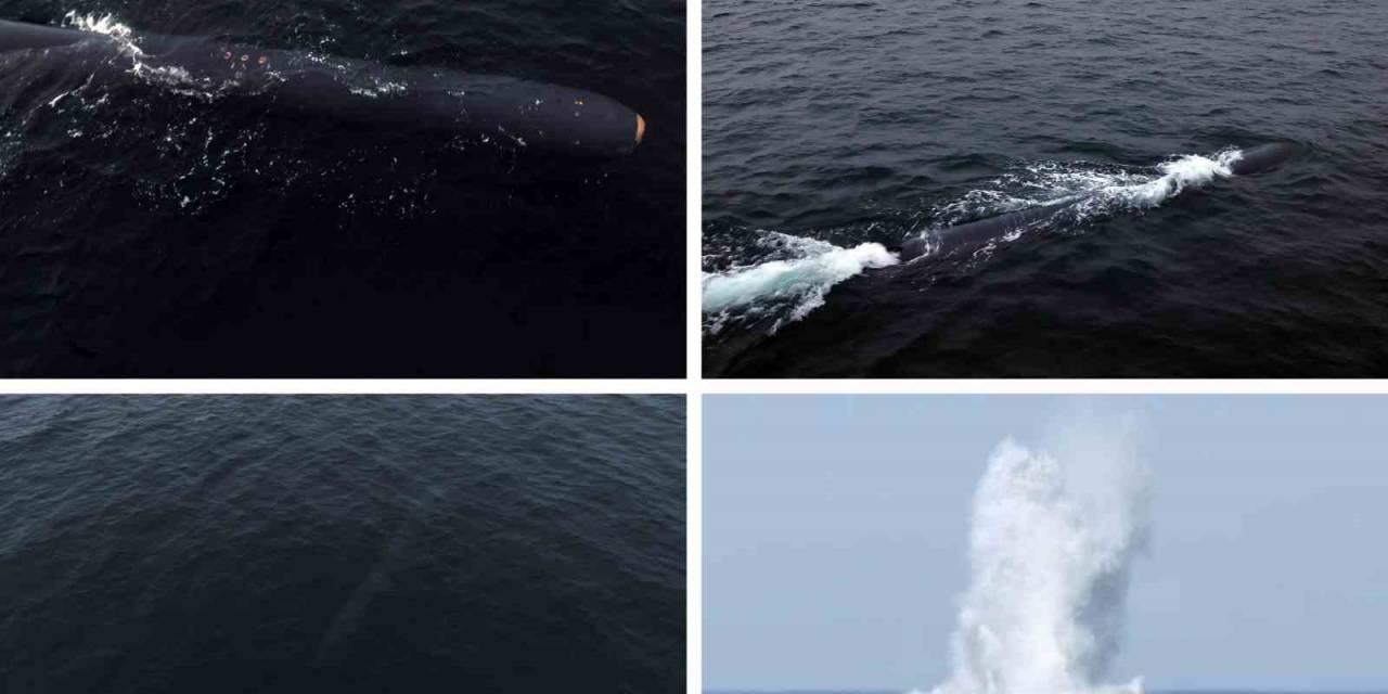 Kuzey Kore’den Nükleer Saldırı Denemesi