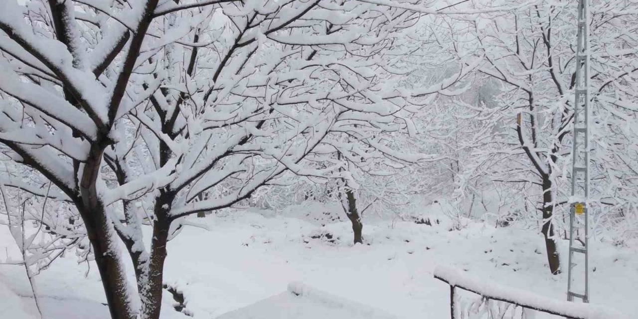 Tunceli’de 8 Nisan’da 20 Santimlik Kar Sürprizi