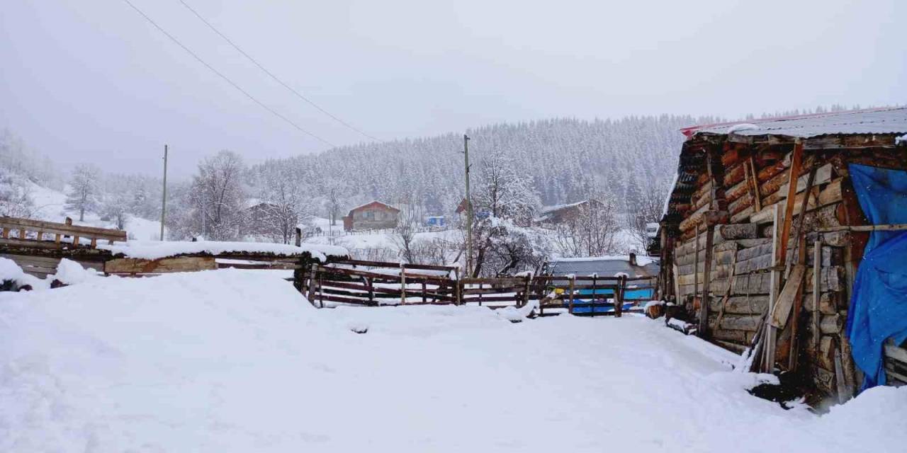 Artvin’in Yüksek Kesimlerinde Kar Yağışı Nisan Ayında da Etkili Oluyor