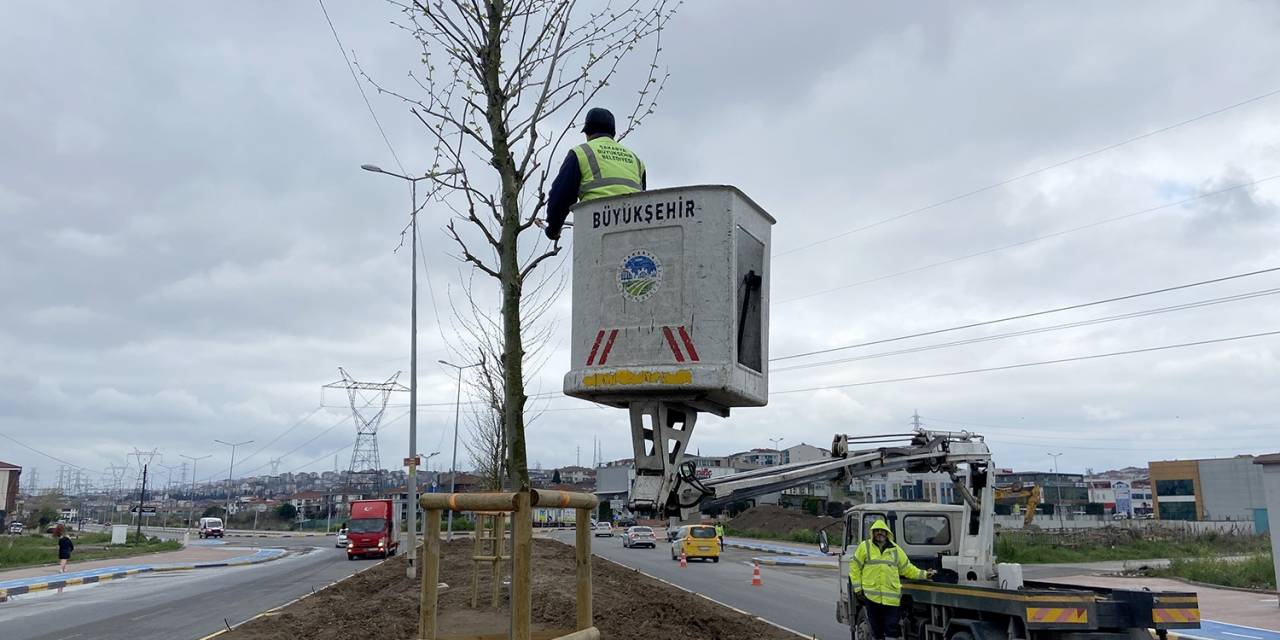 Büyükşehir Ekipleri, Şehir Estetiğine Katkı Sunuyor