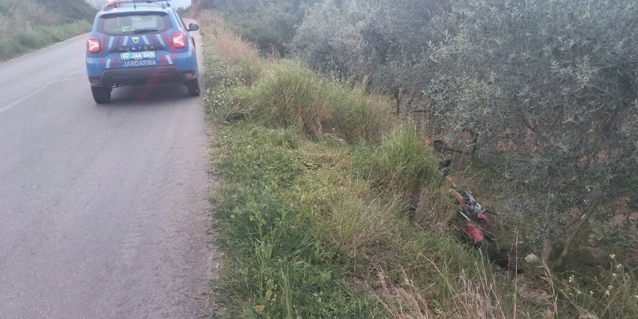 Koyun Ve Keçi Sürüleri Villaların Bahçelerini Talan Ediyor